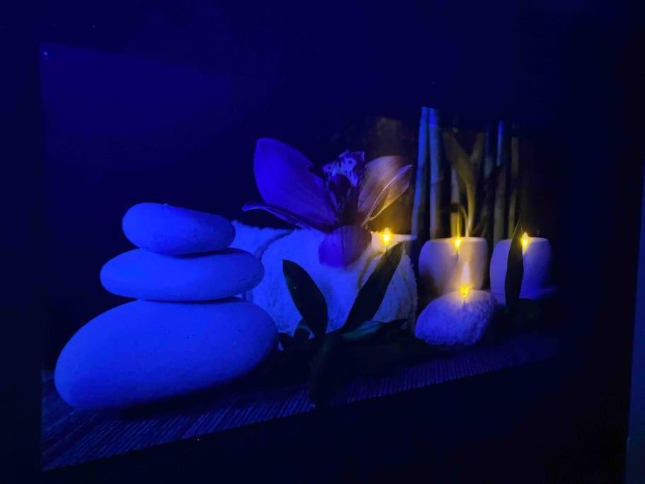 Vip Lounge Appartement Avec Jacuzzi Et Jardin Andenne ภายนอก รูปภาพ